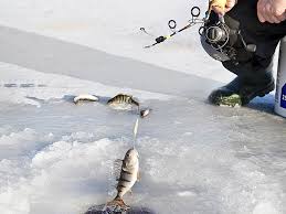 Winter Steelhead Fishing